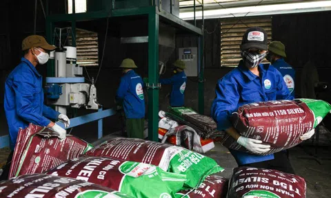 Cổ phiếu ngành phân bón: Hưởng lợi từ thế giới lẫn trong nước, DPM và DCM đậm nhất