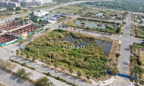 Bộ Công an xác minh 11 dự án bất động sản của Tân Hoàng Minh trước khi Đỗ Anh Dũng bỏ cọc Thủ Thiêm